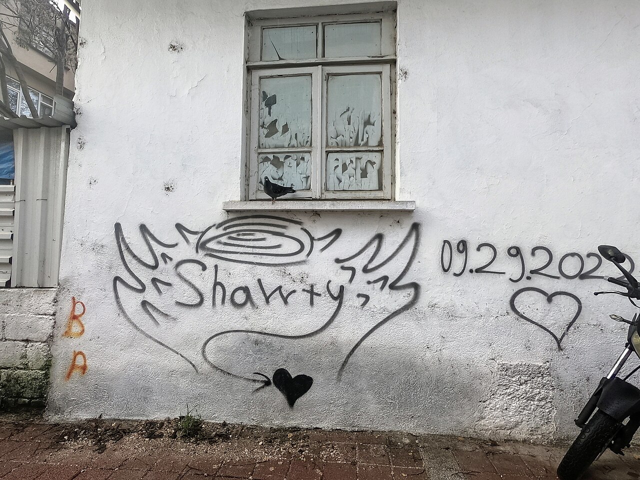 Searching Shorty Rossi Net Worth? Find Word Definitions